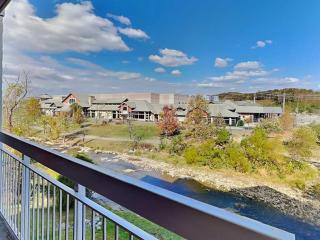 River Delight Bear Crossing 201 - Pigeon Forge - 8
