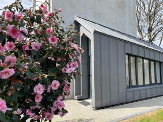 Nouveau Maison quartier calme- jardin - 4