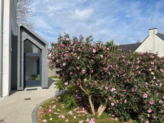 Nouveau Maison quartier calme- jardin - 7