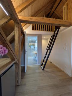 La charmante remise d'Alsace - Appartement Le Chalet - 7