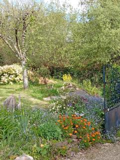 Le studio des pins - 7