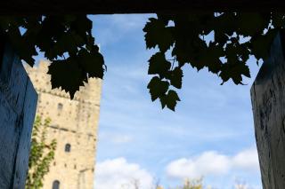 Castello di Porciano - Casa Scaletta - 4