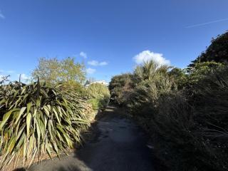 le jardin face a la mer - 2