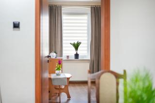Apartament Kudowa - 4