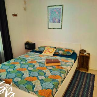 The Skipper & the Blond Appartement Lakaz Metiss Arobaz - 8