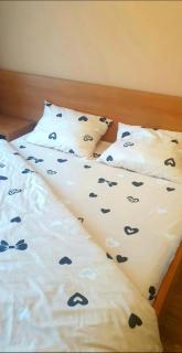 Cazare 2 camere Ioana&Andreea Băile Felix - 3