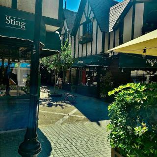 Spacious Modern 1BR Walk to Costanera Center - 5