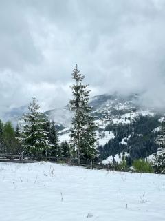 Cabana Magia Apusenilor - 6