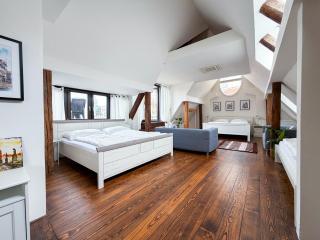 Old Town Rooftop Apartment on Karlova near Charles Bridge - 8