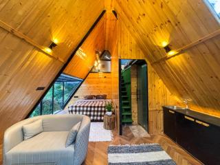 Kasol A Frame Cottage - 4