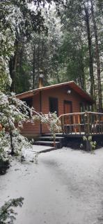 Cabañas Los Picaflores - 2