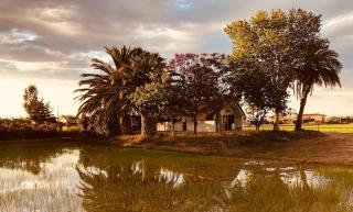 La Barraca de Macu - Delta Traditional Lodge - 1