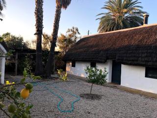 La Barraca de Macu - Delta Traditional Lodge - 8