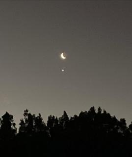 Cabañas 3 aguas - 6