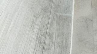 Tiny House en Privada - 3