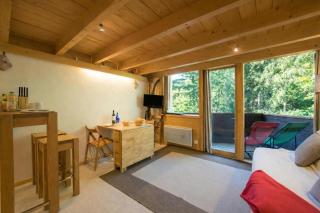 Résidence Grand Roc - Ancolies 104 - Happy Rentals - 0