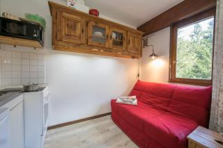 Résidence Grands Montets 414 ski in-ski out- Happy Rentals - 4