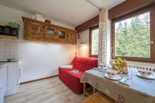 Résidence Grands Montets 414 ski in-ski out- Happy Rentals - 2