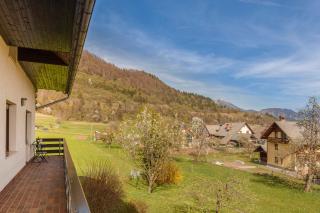 Peaceful Apartment with Terrace near Lake Bled & Free Parking - 8