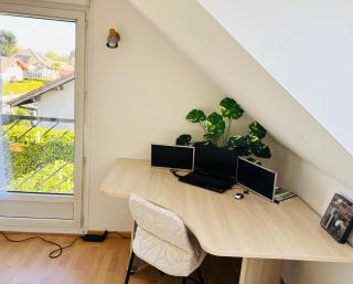 Beausoleil SPA Villa XL-Geneva, Lake, Mountains-Full Love Stay-SPA optional extra fee - 2