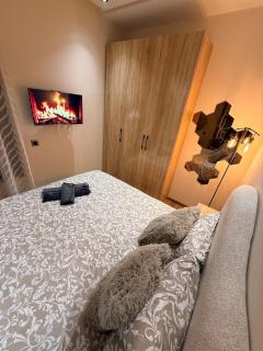 New & luxurious furnished studio for rent - 7