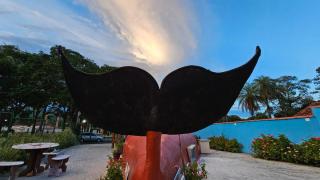 Pousada Casa Baleia - 2