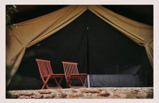 Wild Enthusiasts Camps - 8