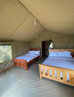 Wild Enthusiasts Camps - 2