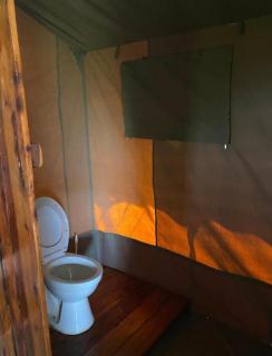 Wild Enthusiasts Camps - 1