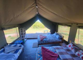 Wild Enthusiasts Camps - 5