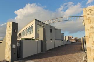 Sunset Villa, your oceanfront escape - 6