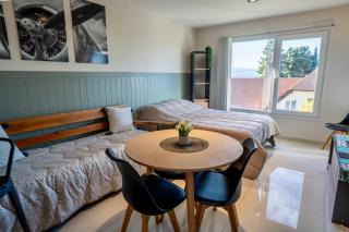 Moderno y Luminoso Monoambiente con Vista al Lago - 0