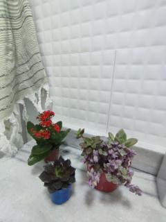 Beautiful House near Feirinha do Alto with Pool! - 3