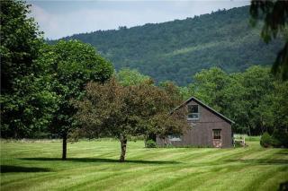 3 min to All Star Village | 4BD/4BA on 9.7 Acres - 3