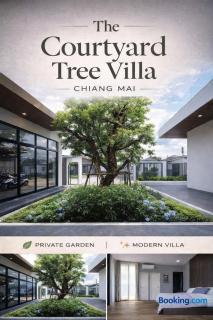 The courtyard tree villa - 0