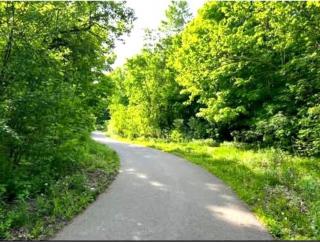 Modern Cozy Room in Vaughan - 3