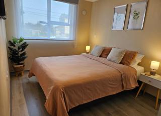 Departamento Villarrica Alto costanera Full equipado - 6