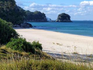 Beachfront Studio Modern, Self-Contained by beautiful Whiritoa Beach - 5