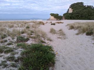 Beachfront Studio Modern, Self-Contained by beautiful Whiritoa Beach - 4