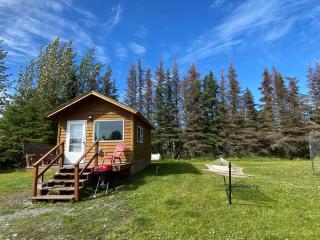 Blue Moose Cabin at Moose Tracks Lodging - 4