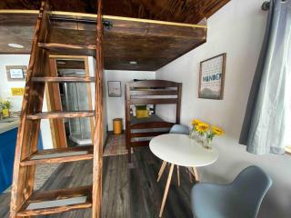 Blue Moose Cabin at Moose Tracks Lodging - 1