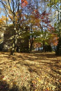 Imperial13-Room203 - 3