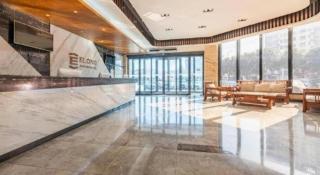 Borrman Hotel Xinxiang Muye Avenue - 3