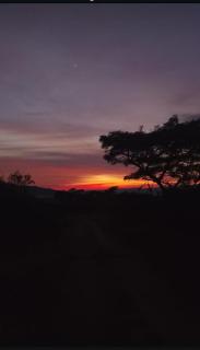 African Bushveld 129A 1 Small Bachelor Unit - 8
