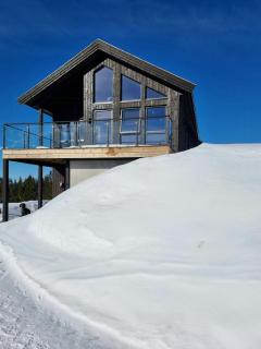 Modern Cabin By Sveavannet In Nordmarka - 8
