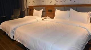 Shell Hotel Kaifeng Jin'an Road Bianxihu Wanda Plaza - 4