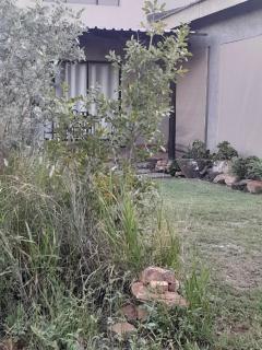129B African Bushveld - 6