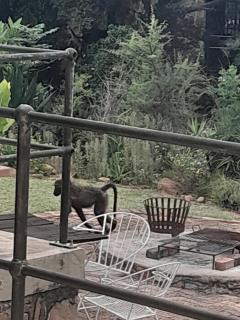 129B African Bushveld - 7