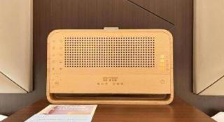 Borrman Hotel Zhongshan Henglan Xiyong - 5