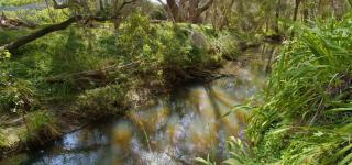 Room in a farm house near Kelmscott Train Station - 4